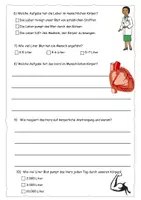 Vorschau - Arbeitsblätter - Quiz zum Körper-Check (Body-Check) - mit Lösung - Seite 1