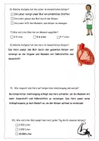 Vorschau - Arbeitsblätter - Quiz zum Körper-Check (Body-Check) - mit Lösung - Seite 3