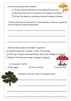 Vorschau - Arbeitsblätter - Quiz zum Pilz-Check (mit Lösung) - Seite 1