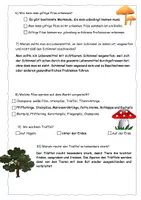 Vorschau - Arbeitsblätter - Quiz zum Pilz-Check (mit Lösung) - Seite 3