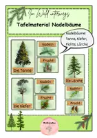 Vorschau - Präsentationen/Tafelbilder - Tafelmaterial Nadelbäume - Deckblatt