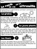 Aperçu - Préparation de séance / Séance complète - Les citrouilles en octobre Thématique - Page 3
