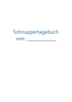 Vorschau - Arbeitsblätter - Schnupperlehr-Tagebuch - Seite 3