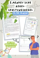 Vorschau - Arbeitsblätter - 2. Mendel'sche Regel: Spaltungsregel | Unterrichtsreihe "Genetik", Biologie 9./10. Klasse - Deckblatt