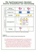 Vorschau - Arbeitsblätter - 2. Mendel'sche Regel: Spaltungsregel | Unterrichtsreihe "Genetik", Biologie 9./10. Klasse - Seite 1