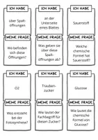 Vorschau - Quiz - Kettenquiz zur Fotosynthese (Ich habe - Wer hat?) - Seite 3
