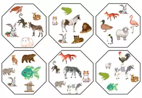 Vorschau - Spiele - Spiel: Zwei mal das Gleiche_Tiere - Seite 2