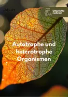 Vorschau - Unterrichtsreihen - Sparpaket: Assimilation und Dissimilation - Seite 1