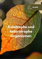 Vorschau - Arbeitsblätter - Fotosynthese & Chemosynthese - Lernheft - Deckblatt
