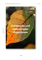 Vorschau - Arbeitsblätter - Fotosynthese & Chemosynthese - Lernheft - Seite 1