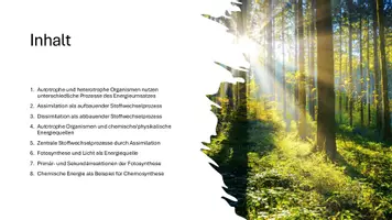 Vorschau - Präsentationen/Tafelbilder - Primär- und Sekundärreaktionen der Photosynthese - Präsentation - Seite 3