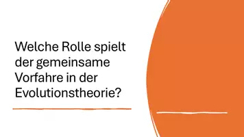 Vorschau - Präsentationen/Tafelbilder - Schöpfungsgeschichte, Kreationismus, Intelligent Design - Seite 2