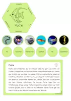 Vorschau - Stationenlernen - Fische | Tierklassen - Seite 2