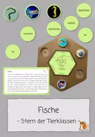 Vorschau - Stationenlernen - Fische | Tierklassen - Deckblatt