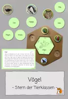 Vorschau - Stationenlernen - Vögel | Tierklassen - Deckblatt