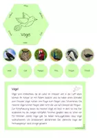 Vorschau - Stationenlernen - Vögel | Tierklassen - Seite 2