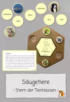 Vorschau - Stationenlernen - Säugetiere | Tierklassen - Deckblatt