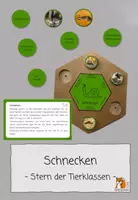 Vorschau - Stationenlernen - Tierklassen | Ein Überblick über die Vielfalt im Tierreich | Materialpaket - Seite 1
