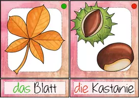 Vorschau - Bildkarten - Herbst: Bild- und Wortkarten (DaZ/DaF) - Seite 3