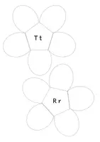 Vorschau - Mal- und Bastelvorlagen - Buchstabenblüten (T R I U) basteln - Deckblatt