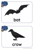 Προεπισκόπηση - Flashcards - Brown Owl's Autumn - Flashcards and Word Cards - Σελίδα 2