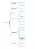 anteprima - Materiale di supporto/inclusione - Mappa concettuale: Tardo Romanticismo - Pagina di copertina
