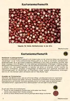 Vorschau - Stationenlernen - Kastanienmathematik in der Kita - Seite 1