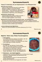 Vorschau - Stationenlernen - Kastanienmathematik in der Kita - Seite 2