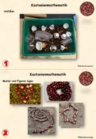 Vorschau - Stationenlernen - Kastanienmathematik in der Kita - Seite 3