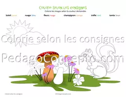 Aperçu - Autre type de ressources - Colorie selon les consignes - Page de couverture
