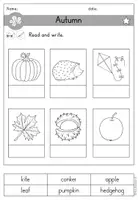 Vorschau - Arbeitsblätter - Autumn Fall Herbst Arbeitsblatt differenziert - Englisch - Seite 2