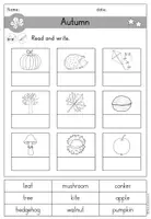 Vorschau - Arbeitsblätter - Autumn Fall Herbst Arbeitsblatt differenziert - Englisch - Seite 3