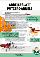 Vorschau - Arbeitsblätter - Putzergarnele Umweltfaktoren abiotisch biotisch Ökologie - Deckblatt