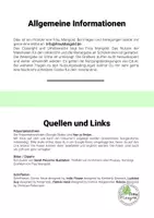 Vorschau - Arbeitsblätter - Evolution Fossilien Fossilisation Arbeitsblatt mit Stundenverlauf, Lösung, Präsentation - Seite 2