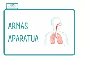 Vista previa - Unidades / Secuencias / Situaciones de Aprendizaje - GORPUTZA PACK - página 3