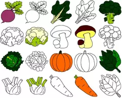 Aperçu - Affichage - Imagier des légumes d'automne version gratuite - Page de couverture