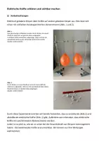Vorschau - Arbeitsblätter - Elektrische Kräfte sichtbar machen - Das elektrische Feld - Seite 2