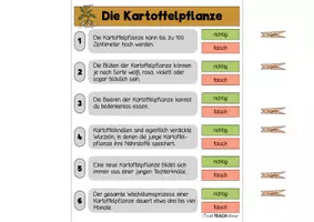 Vorschau - Stationenlernen - Die Kartoffel - Klammerkarten - Seite 2