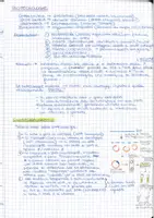 anteprima - Programmi scolastici / Materiali per docenti - Biotecnologie: Clonaggio ed Enzimi di Restrizione - Pagina 1