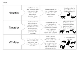 Vorschau - Stationenlernen - Puzzle_Wildtier:Nutztier:Haustier - Deckblatt