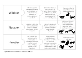 Vorschau - Stationenlernen - Puzzle_Wildtier:Nutztier:Haustier - Seite 1