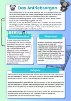 Vorschau - Arbeitsblätter - Die Funktionsorgane von Maschinen - Seite 1