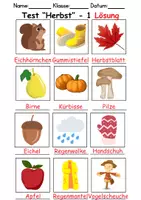 Vorschau - Arbeitsblätter - Test Herbst - DaZ/DaF, Deutsch, Sachunterricht (Klasse 1 und 2) - Seite 2