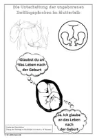 Vorschau - Arbeitsblätter - Die Unterhaltung der ungeborenen Zwillingspärchen im Mutterleib - Deckblatt