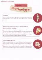 Vorschau - Arbeitsblätter - Knochentypen - Infokärtchen und Arbeitsblatt - Seite 1