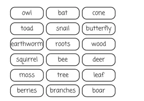 Vorschau - Spiele - Forest BINGO - Seite 1