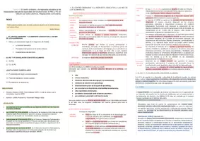 Vista previa - Para docentes: organización, planificación y formación - Oposiciones PT Andalucía: Esquema tema 4 - página 1
