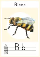 Vorschau - Poster - Buchstabenposter Druckschrift - Tiere - Seite 3