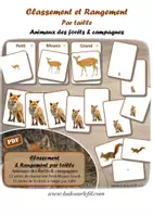 Aperçu - Apprentissages en autonomie - Rangement et classement par taille - Animaux de la forêt - Page de couverture