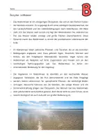 Vorschau - Arbeitsblätter - Gruppenpuzzle Ökosysteme: Wald, Wattenmeer, See, Bach - Seite 3